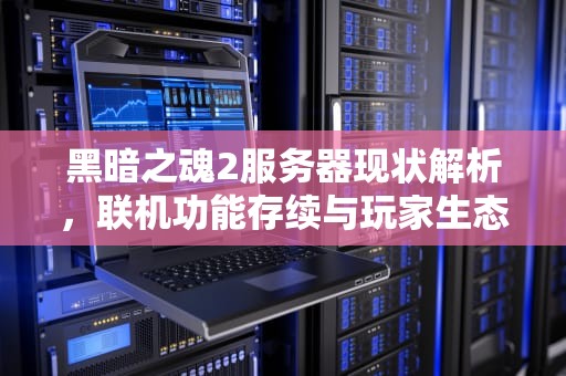 黑暗之魂2服务器现状解析，联机功能存续与玩家生态的十年变迁，黑魂2有服务器吗