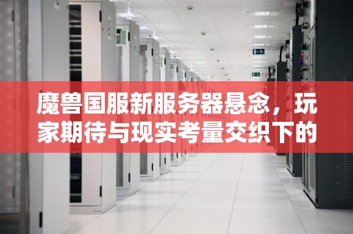 魔兽国服新服务器悬念，玩家期待与现实考量交织下的未来，魔兽国服会开新服务器吗知乎
