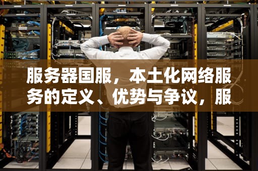 服务器国服，本土化网络服务的定义、优势与争议，服务器国服什么意思啊