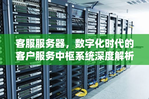 客服服务器，数字化时代的客户服务中枢系统深度解析，客服服务器是什么意思啊