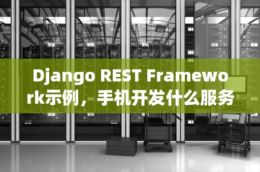 Django REST Framework示例，手机开发什么服务器好用