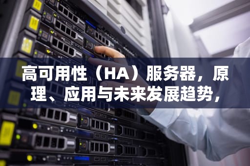 高可用性(HA)服务器,原理、应用与未来发展趋势,服务器ha是什么意思 高可用性(HA)服务器,原理、应用与未来发展趋势,服务器ha是什么意思
