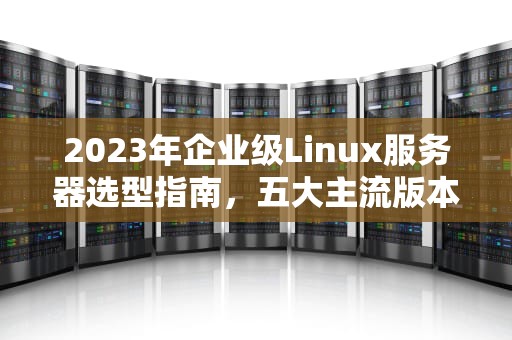 2023年企业级Linux服务器选型指南，五大主流版本深度解析，企业用linux服务器什么版本好