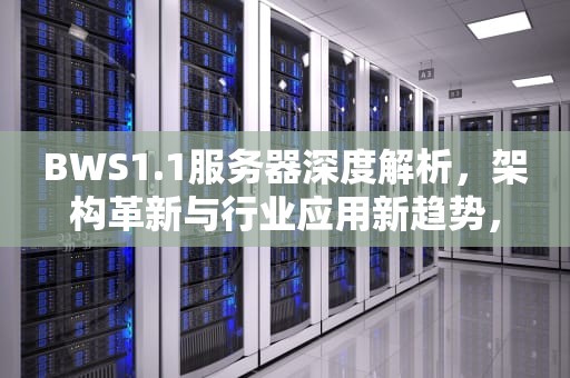 BWS1.1服务器深度解析，架构革新与行业应用新趋势，br是什么服务器