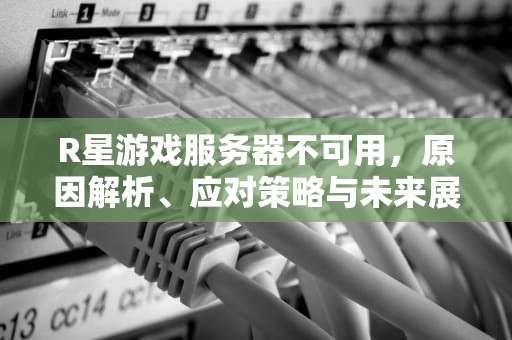 R星游戏服务器不可用，原因解析、应对策略与未来展望，r星游戏服务器暂时不可用