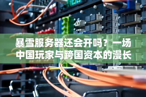 暴雪服务器还会开吗？一场中国玩家与跨国资本的漫长博弈，暴雪服务器还会开吗知乎