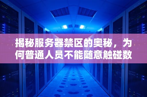 揭秘服务器禁区的奥秘，为何普通人员不能随意触碰数据核心？为什么服务器不能进入虚拟机