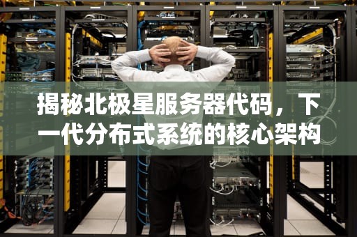 揭秘北极星服务器代码，下一代分布式系统的核心架构，北极星服务器代码是什么意思