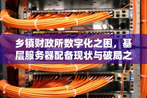 乡镇财政所数字化之困，基层服务器配备现状与破局之路，乡镇的财政