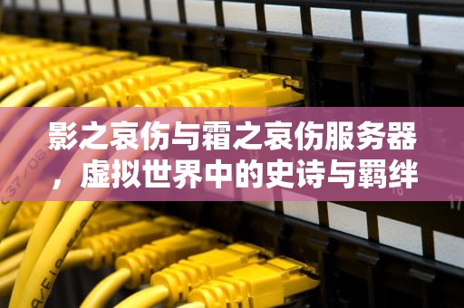 影之哀伤与霜之哀伤服务器，虚拟世界中的史诗与羁绊，影之哀伤在哪个区