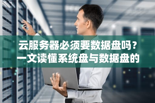 云服务器必须要数据盘吗？一文读懂系统盘与数据盘的核心区别，云服务器必须要数据盘吗