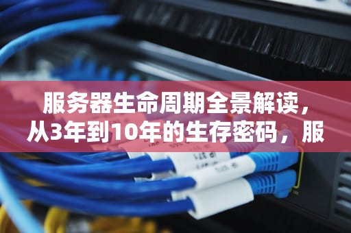 服务器生命周期全景解读，从3年到10年的生存密码，服务器一般用多久要换