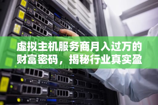 虚拟主机服务商月入过万的财富密码，揭秘行业真实盈利空间，虚拟主机一个月赚多少钱啊