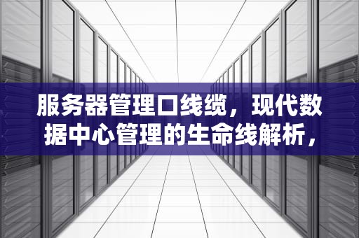 服务器管理口线缆，现代数据中心管理的生命线解析，服务器管理口线缆是什么意思