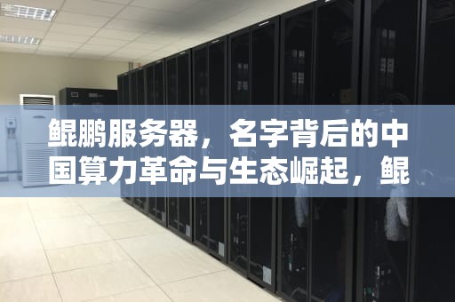 鲲鹏服务器，名字背后的中国算力革命与生态崛起，鲲鹏服务器是什么