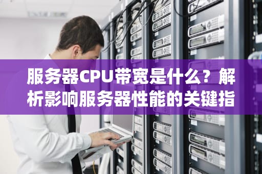 服务器CPU带宽是什么？解析影响服务器性能的关键指标及优化策略，服务器cpu带宽是什么意思