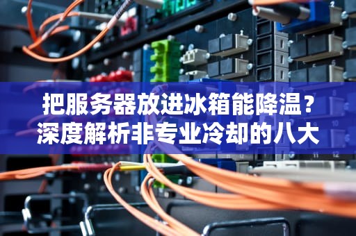 把服务器放进冰箱能降温？深度解析非专业冷却的八大风险，服务器放冰箱里面会坏吗为什么