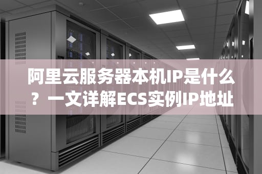 阿里云服务器本机IP是什么？一文详解ECS实例IP地址类型与查询方法，阿里云服务器本机ip是什么