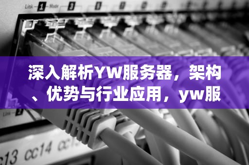 深入解析YW服务器，架构、优势与行业应用，yw服务是什么意思