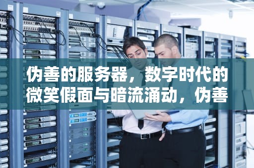 伪善的服务器，数字时代的微笑假面与暗流涌动，伪善的服务器是什么意思啊