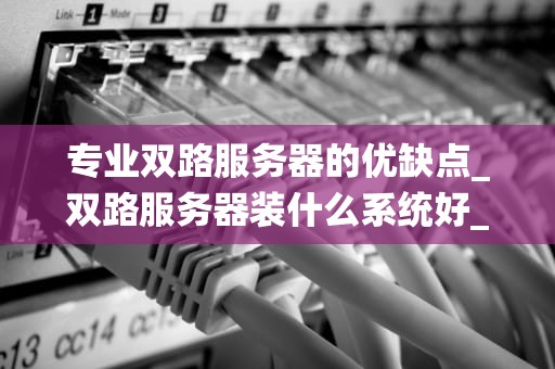 专业双路服务器的优缺点_双路服务器装什么系统好_专业双路服务器的优缺点分析