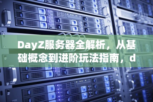 DayZ服务器全解析，从基础概念到进阶玩法指南，dayz服务器名称含义