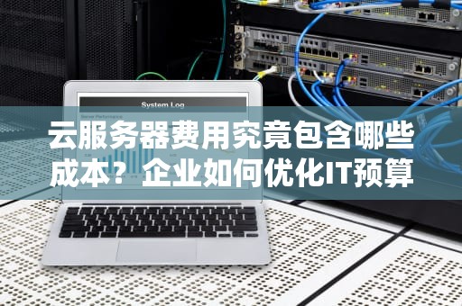 云服务器费用究竟包含哪些成本?企业如何优化IT预算?云服务器费用什么意思啊 云服务器费用究竟包含哪些成本?企业如何优化IT预算?云服务器费用什么意思啊
