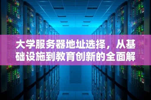 大学服务器地址选择，从基础设施到教育创新的全面解析，大学学校的服务器一般在哪