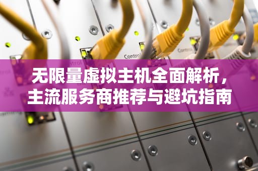 无限量虚拟主机全面解析，主流服务商推荐与避坑指南，无限量虚拟主机有哪些品牌