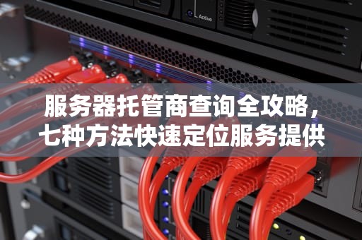 服务器托管商查询全攻略，七种方法快速定位服务提供商，怎么查服务器的托管商名称
