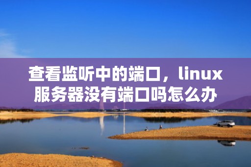 查看监听中的端口，linux服务器没有端口吗怎么办