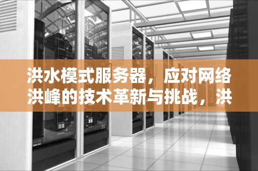 洪水模式服务器，应对网络洪峰的技术革新与挑战，洪水模式服务器是什么意思