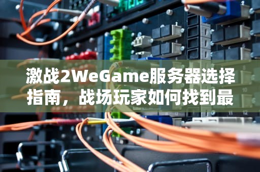 激战2WeGame服务器选择指南，战场玩家如何找到最佳阵营？激战2战场服务器选择