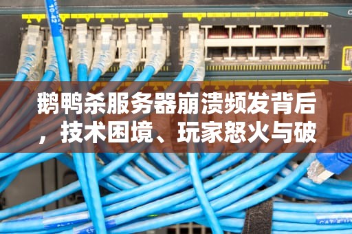 鹅鸭杀服务器崩溃频发背后，技术困境、玩家怒火与破局之路，杀鸭杀鹅视频