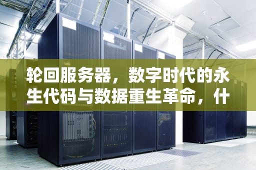 轮回服务器，数字时代的永生代码与数据重生革命，什么叫轮回服务器啊