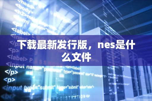 下载最新发行版，nes是什么文件