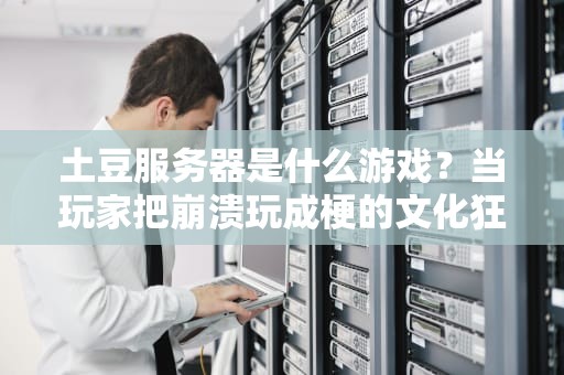 土豆服务器是什么游戏？当玩家把崩溃玩成梗的文化狂欢，土豆服务器是什么游戏的梗