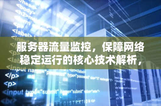 服务器流量监控，保障网络稳定运行的核心技术解析，服务器流量监控是什么意思