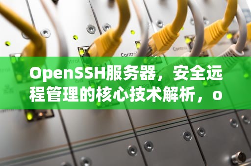 OpenSSH服务器，安全远程管理的核心技术解析，openssh-server是什么软件