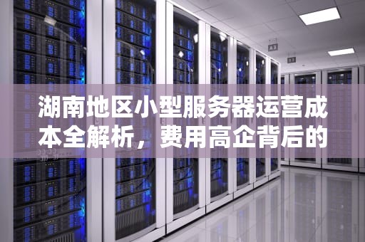 湖南地区小型服务器运营成本全解析，费用高企背后的深层逻辑，湖南小型服务器费用高吗现在
