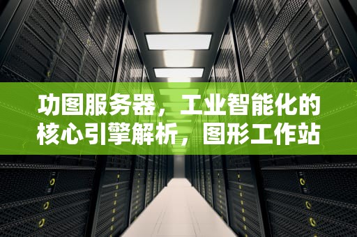 功图服务器，工业智能化的核心引擎解析，图形工作站服务器
