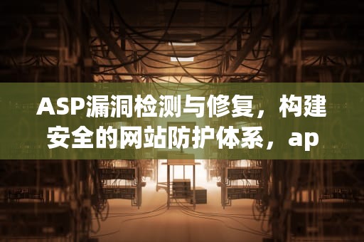 ASP漏洞检测与修复，构建安全的网站防护体系，apache struts2 s2-045漏洞检测工具