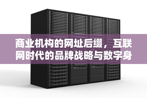 商业机构的网址后缀，互联网时代的品牌战略与数字身份争夺战，商业机构网址后缀名