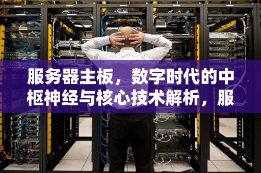 服务器主板，数字时代的中枢神经与核心技术解析，服务器主板和普通主板的区别