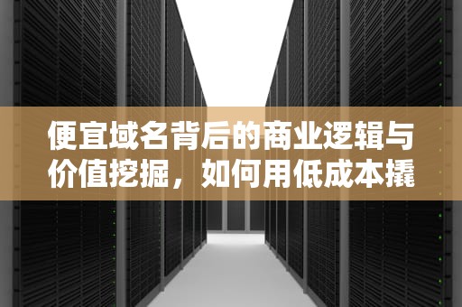 便宜域名背后的商业逻辑与价值挖掘，如何用低成本撬动大市场，便宜域名购买