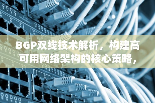 BGP双线技术解析，构建高可用网络架构的核心策略，bgp双线服务器租用