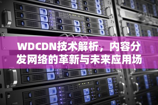 WDCDN技术解析，内容分发网络的革新与未来应用场景，我的迟钝女友