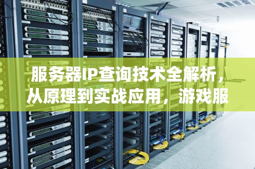 服务器IP查询技术全解析，从原理到实战应用，游戏服务器ip查询