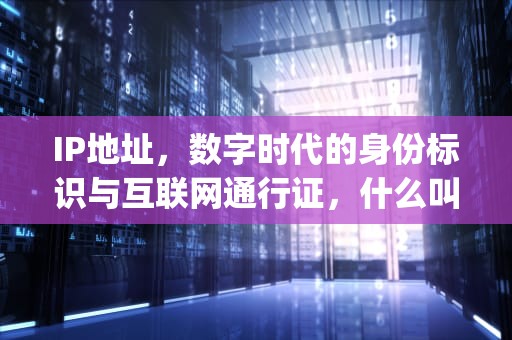 IP地址，数字时代的身份标识与互联网通行证，什么叫ip地址,有什么作用?