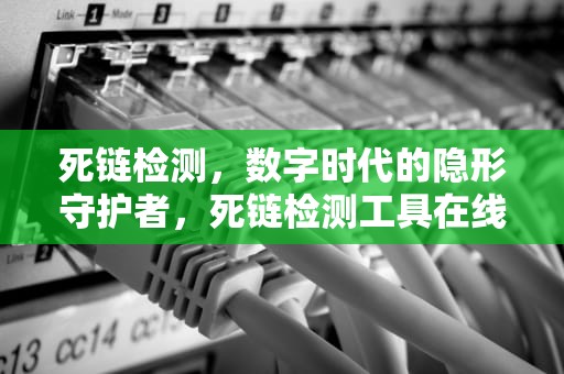 死链检测，数字时代的隐形守护者，死链检测工具在线